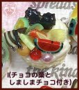 画像13: 各種限定2個・丸ケーキA